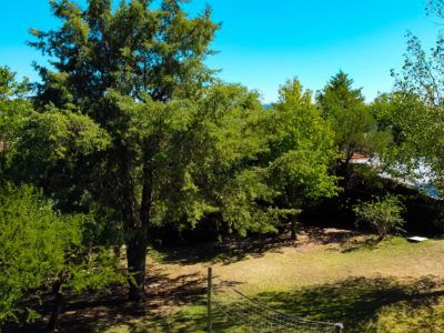 Cabañas Nono: remanso verde bajo el sol, serenidad natural.