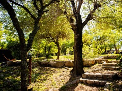 Sendero de piedra en Nono: naturaleza serena y árboles.
